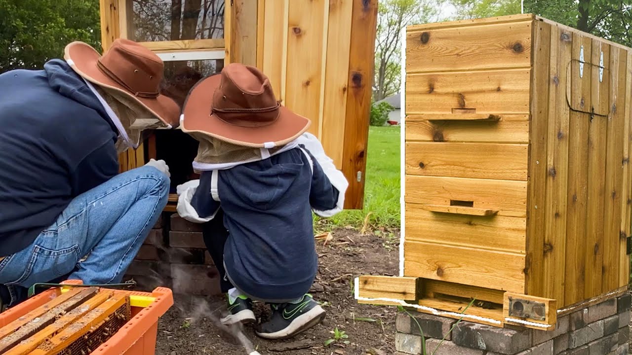 AZ Bee Hive Install