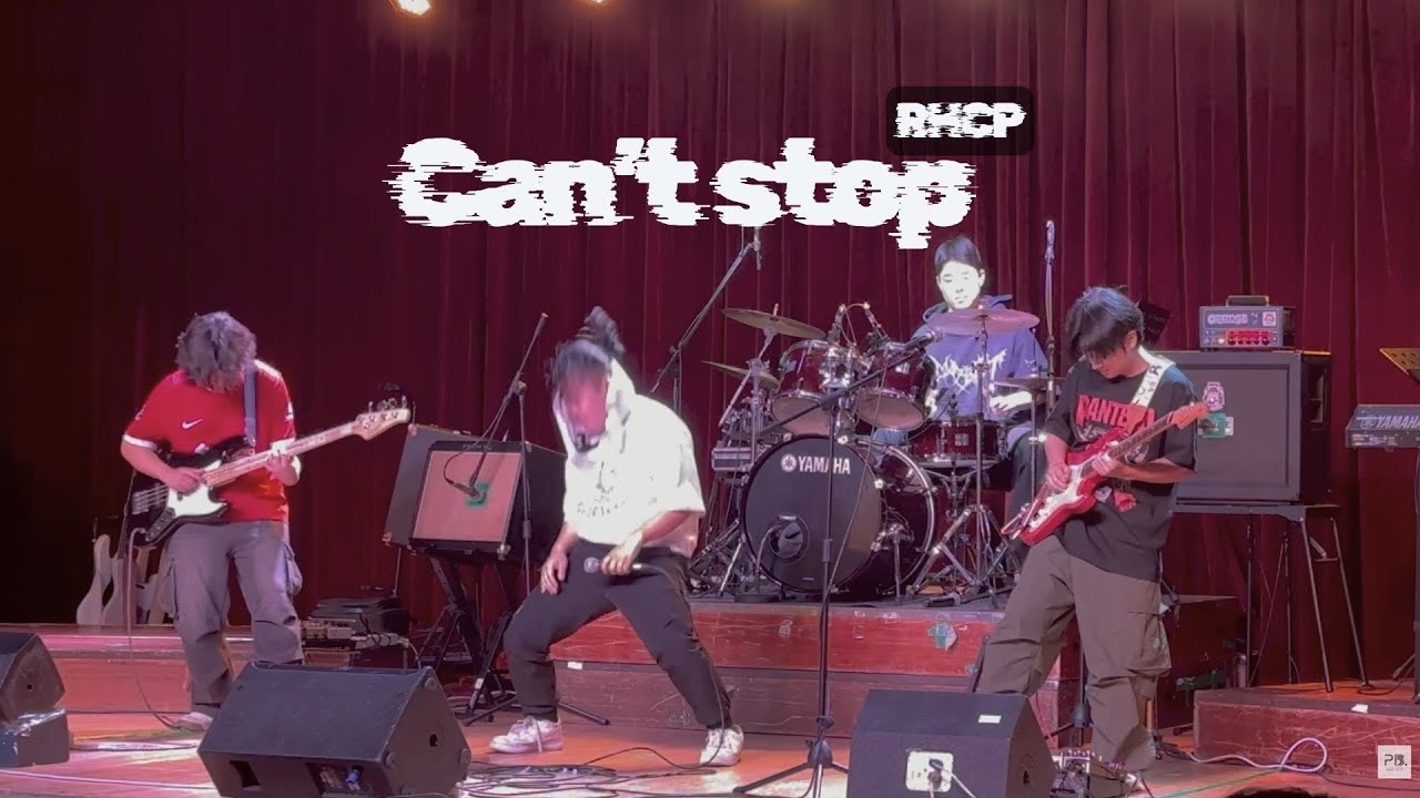 Red Hot Chili Peppers - Can't Stop | Covered by PlanB