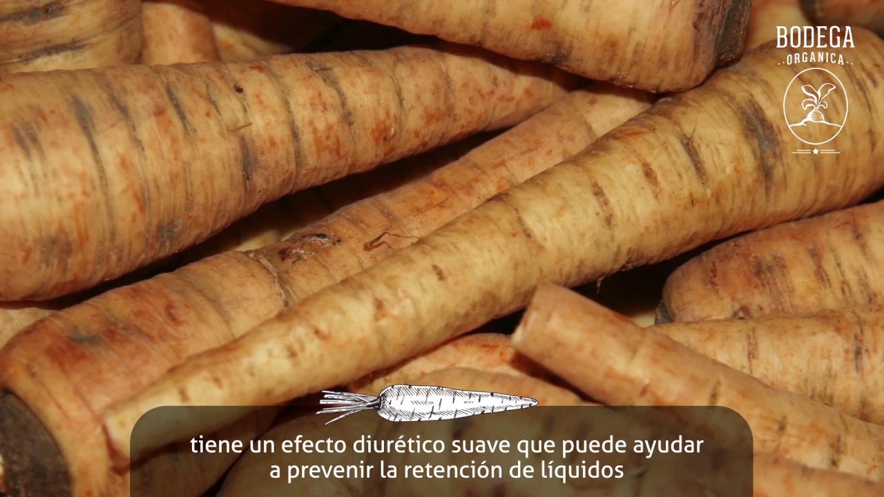 ¿Sabías Qué?  Chirivía