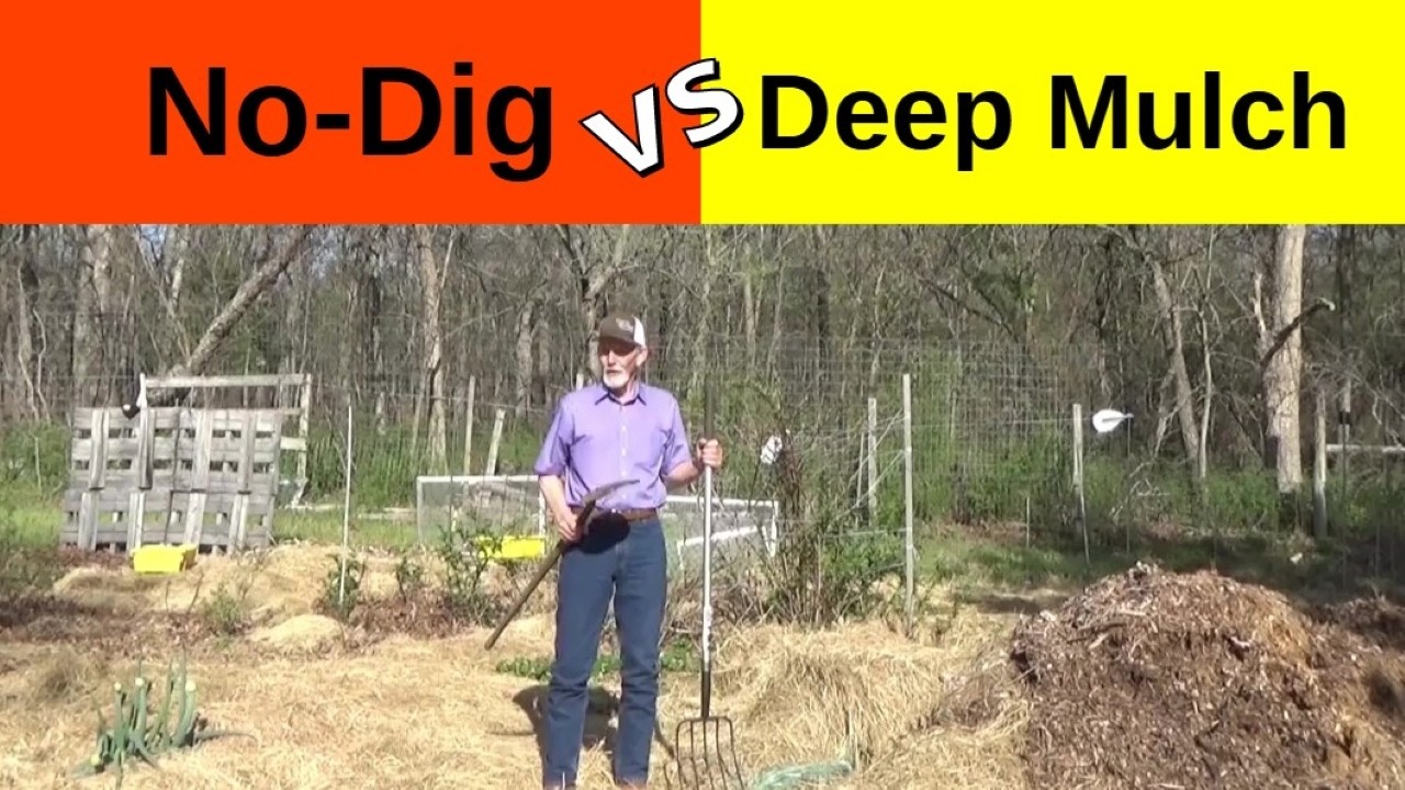 No-Dig vs Deep Mulch, Which Is Better