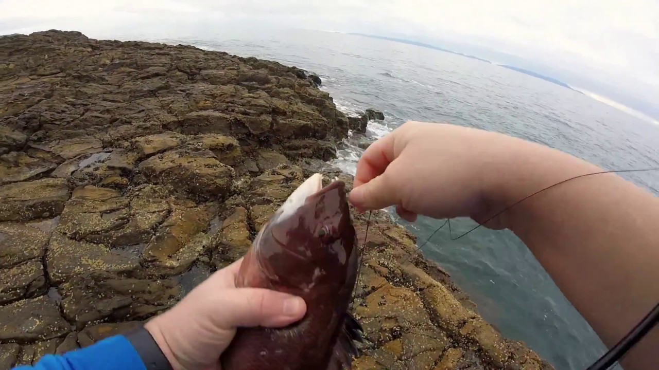 Palos Verdes fishing for SheepHead