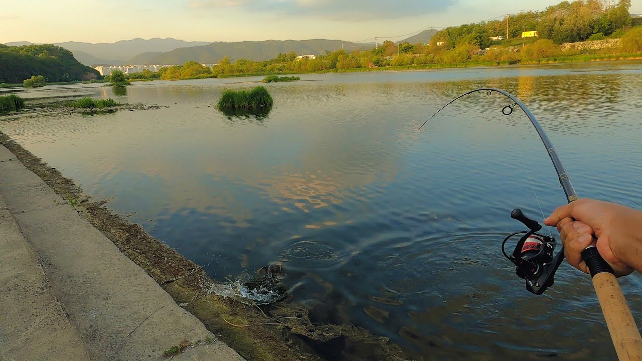South Korea River Fishing!