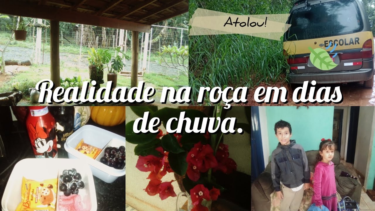 Uma manhã de chuva no sítio!
