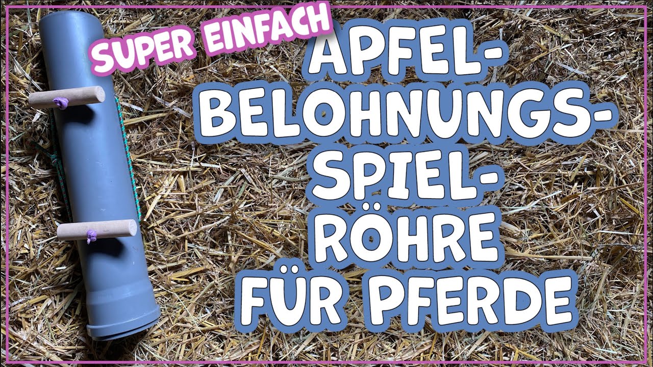 Pferdespielzeug Apfelröhre selber machen - super einfach für 15 EUR
