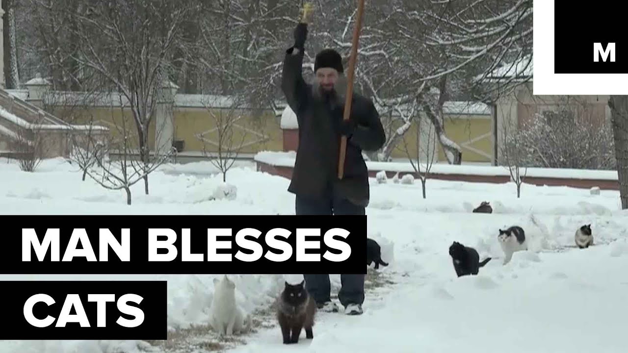 Russian Man Blesses Cats at Monastery