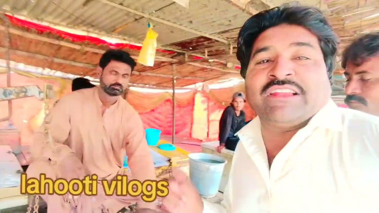 Buying the famous fish of Baqar Lake, Sanghar District