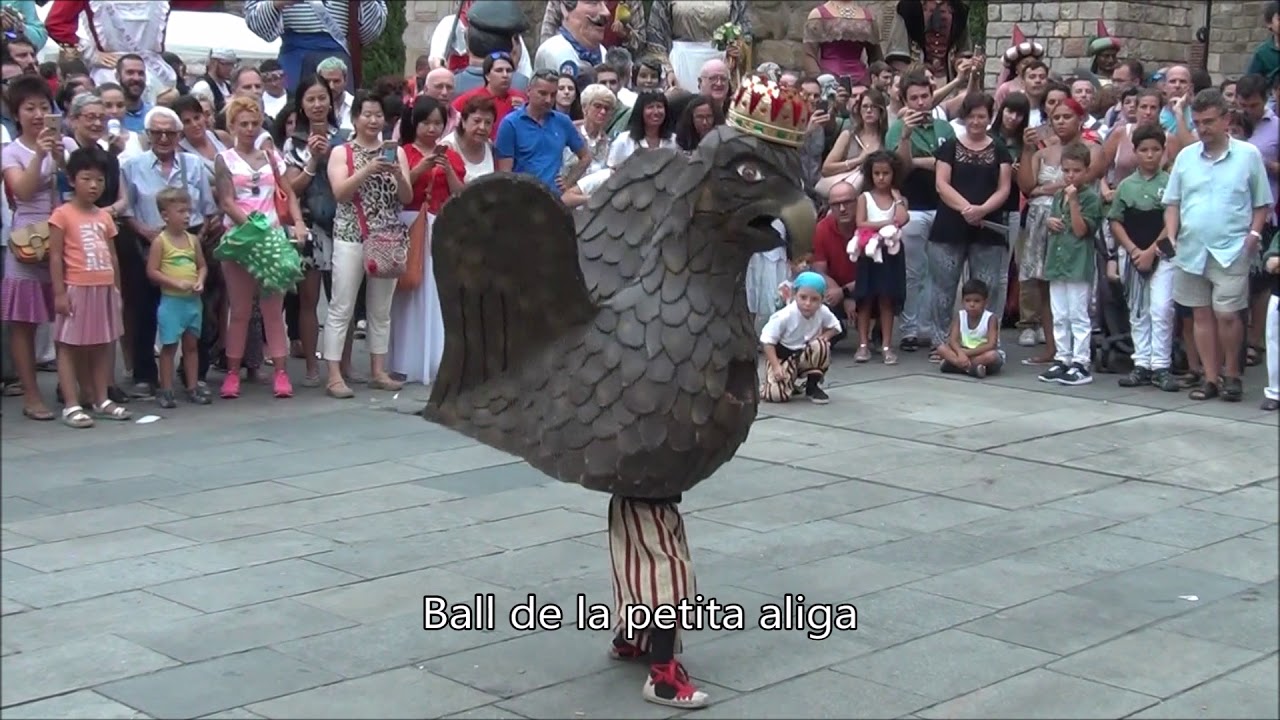 Plaça Nova. XXXV Trobada i ball de gegants 2017