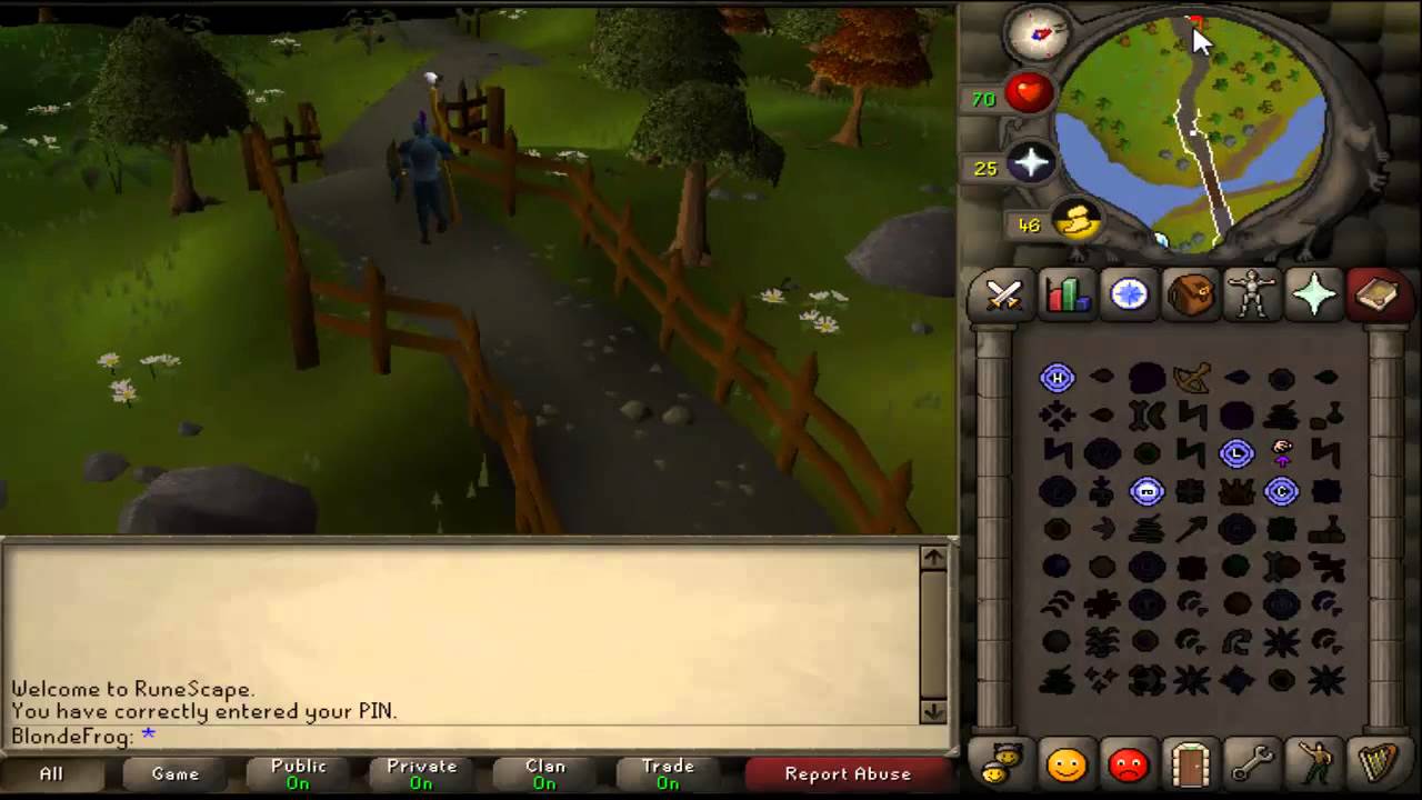 Runescape 2007 1 - 50 Combat Guide