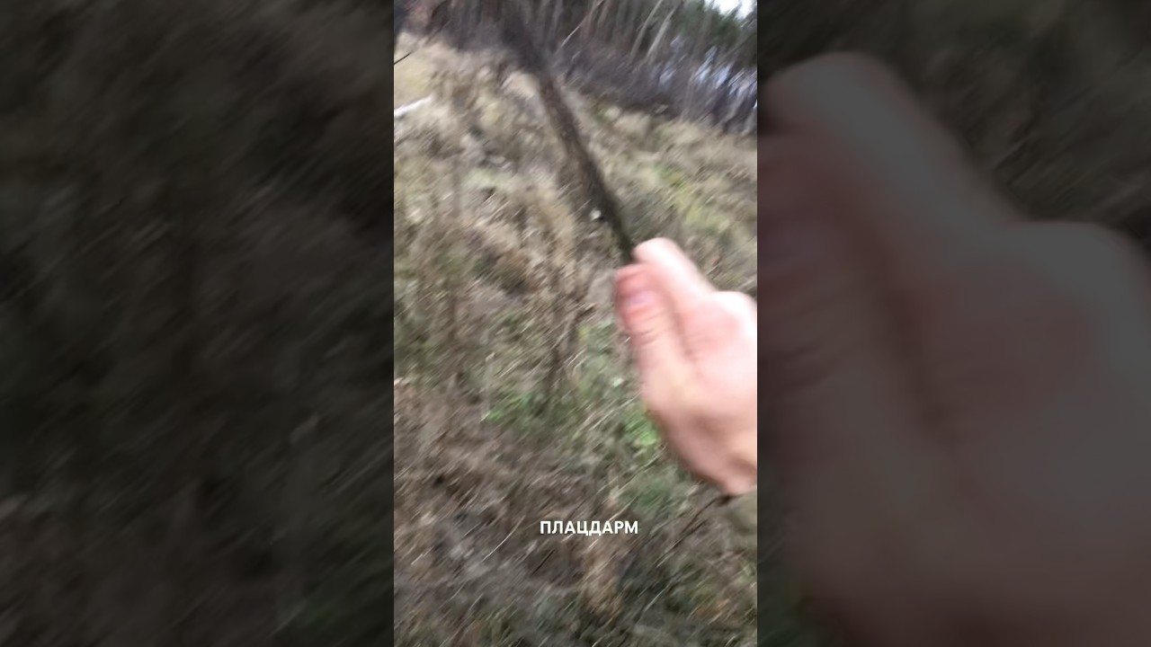 Перевіряємо щупом на запах &hellip; #адвісплацдарм #алексейюков