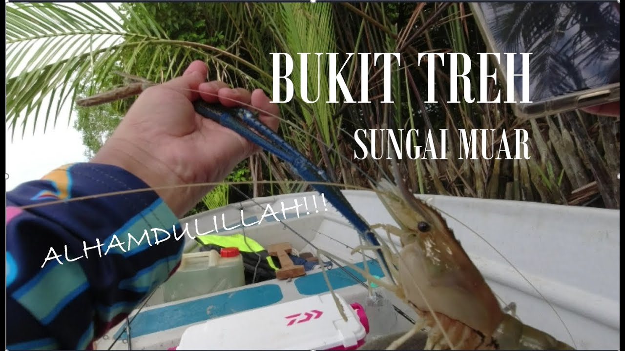 Memancing Udang Galah | Bukit Treh Sg Muar #12