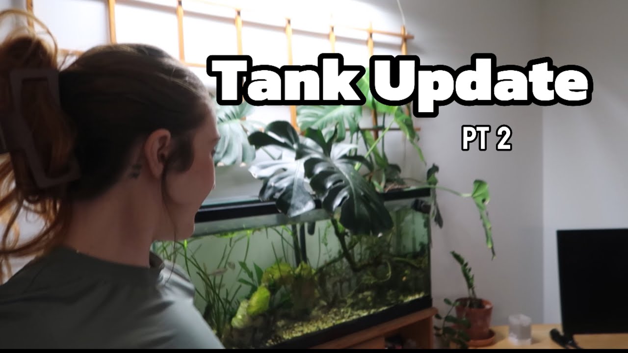 FISH JUMPING OUT, EMERGENCY PET STORE VISIT + MORE PLANTS
