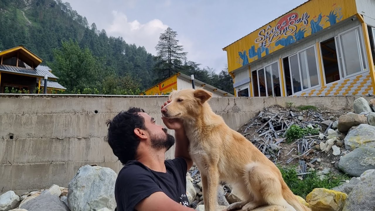 Hosteller Kasol | Hostel in kasol | budget friendly stay in kasol | river view | Parvati valley