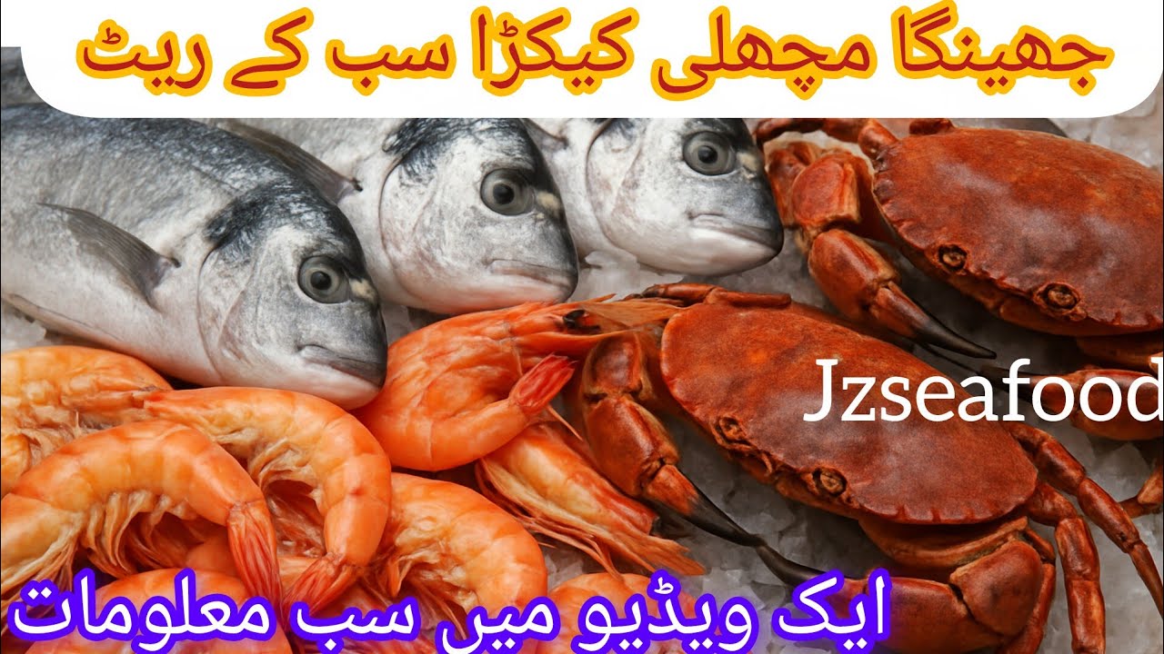 Karachi Fish Market Today | Fresh Fish, Prawns & Crabs Rates | Aaj Ke Rate | @jzseafood1865