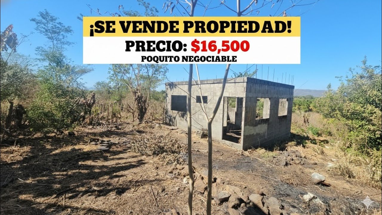 No Disponible🚫🚫🚫
