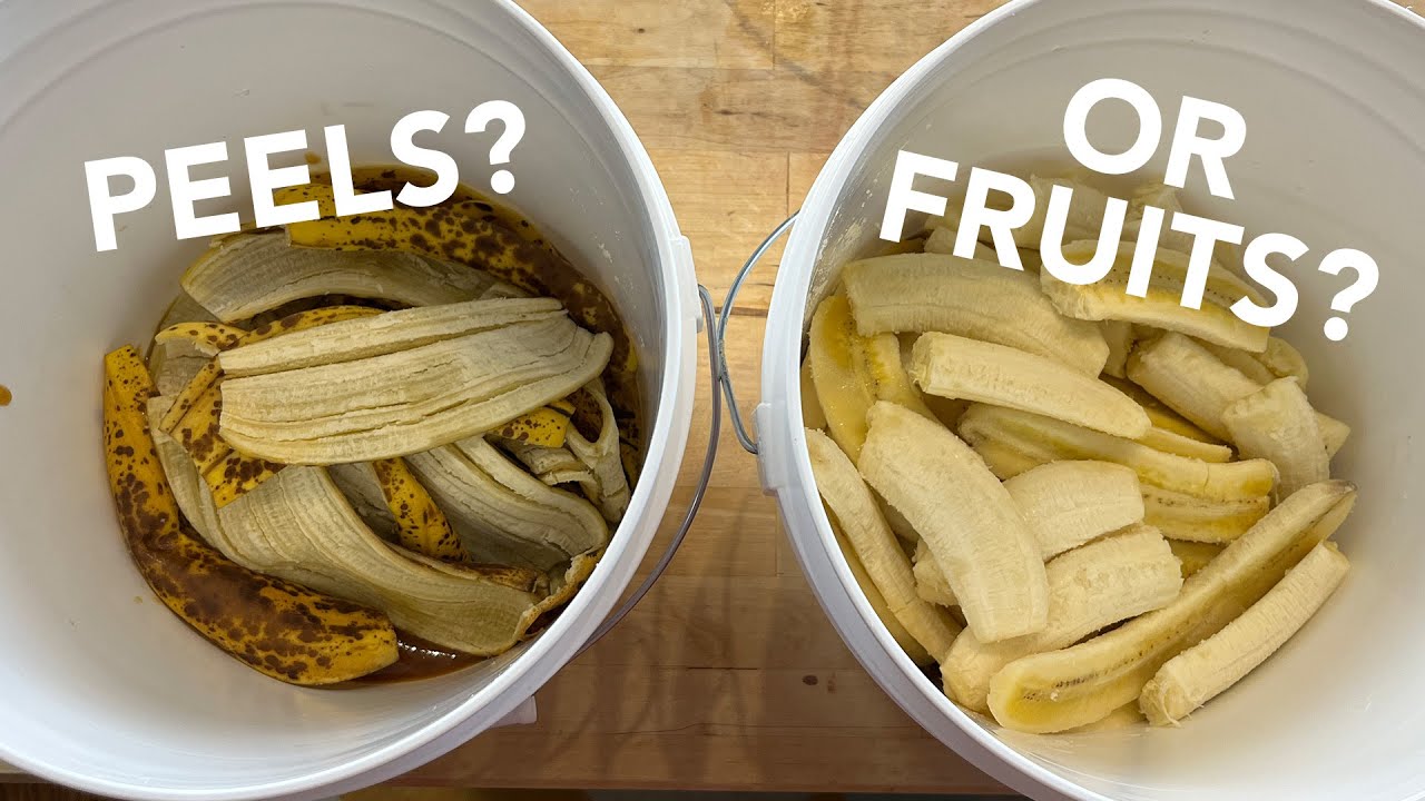 Banana peels ONLY mead? Comparing peels to fruits for maximum flavor