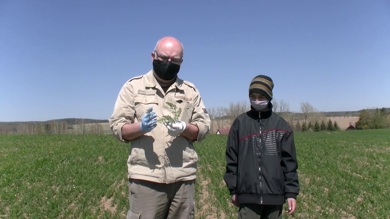 Českomoravská Vysočina Radostín - kmín - Farma pana Fikara, majitele zastupuje syn Jan