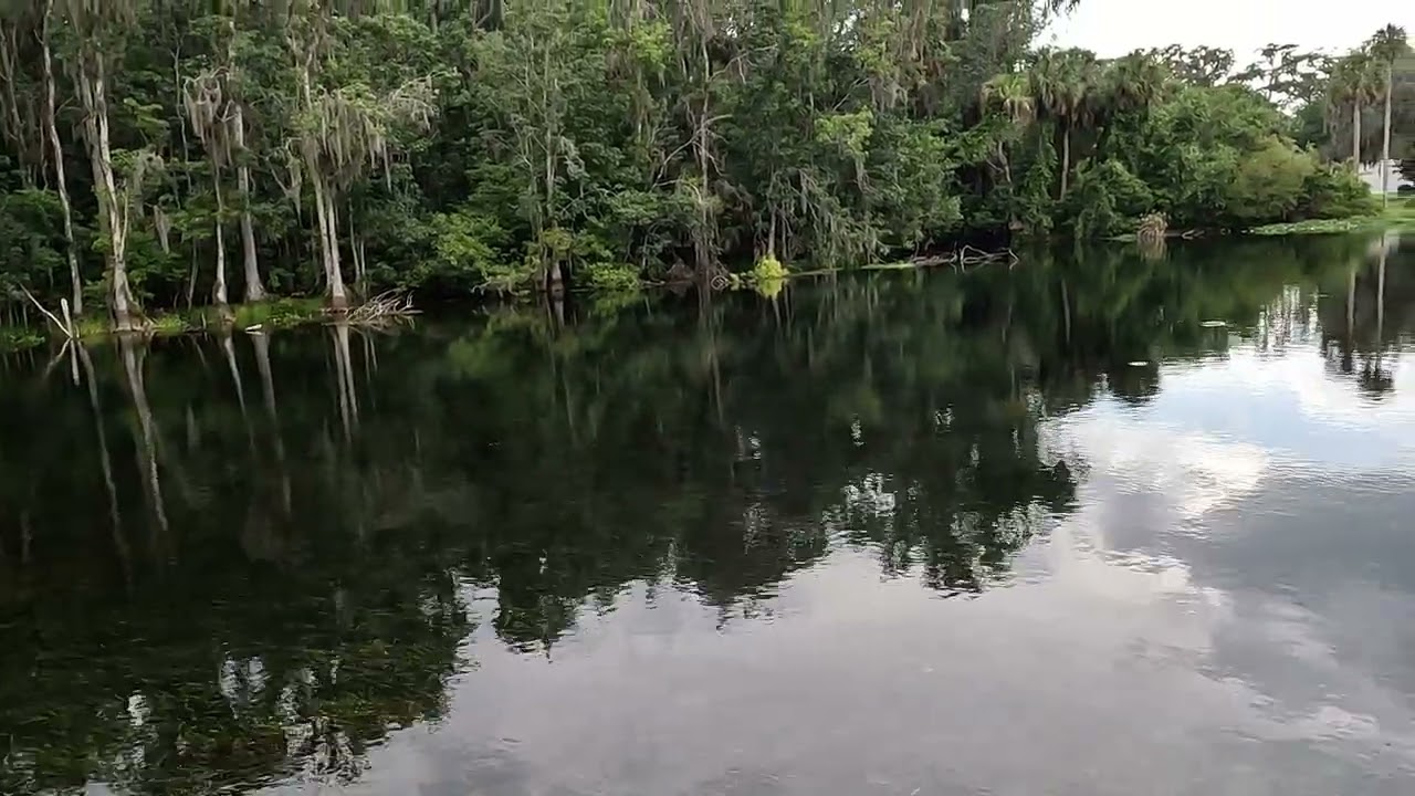 Silver Springs 2