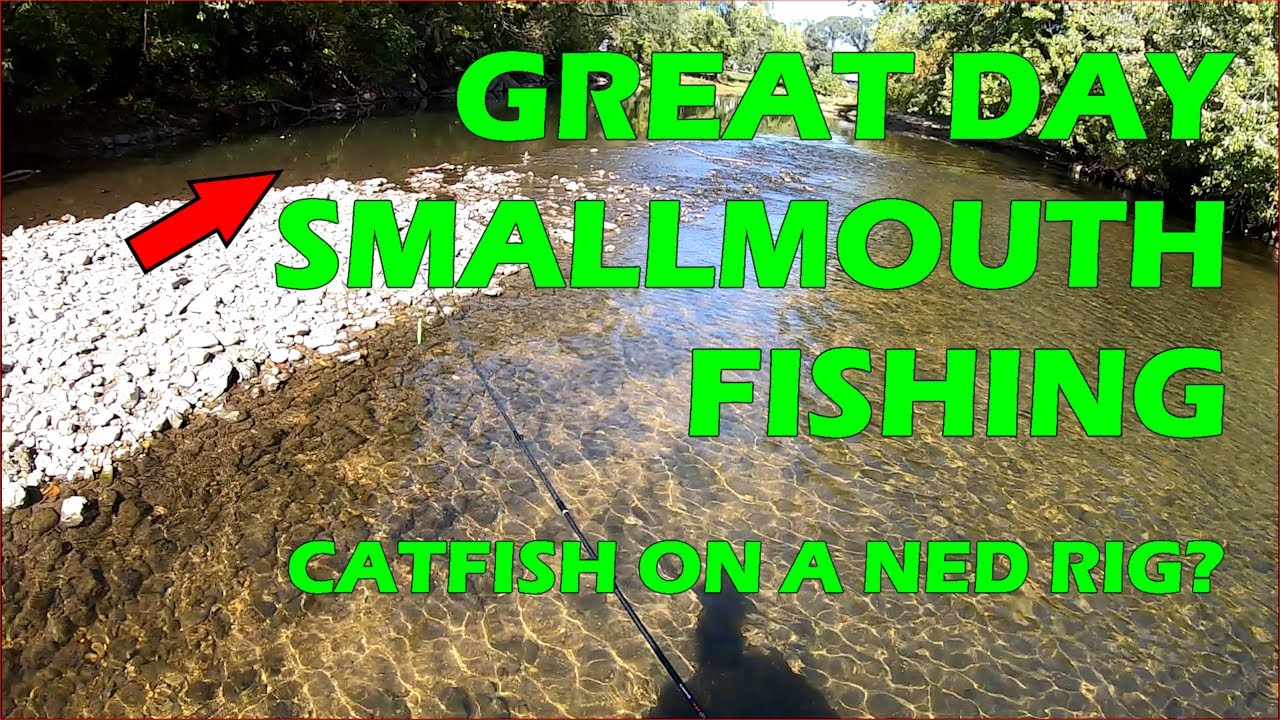 Wading the Kishwaukee River Again - 10/3/2024
