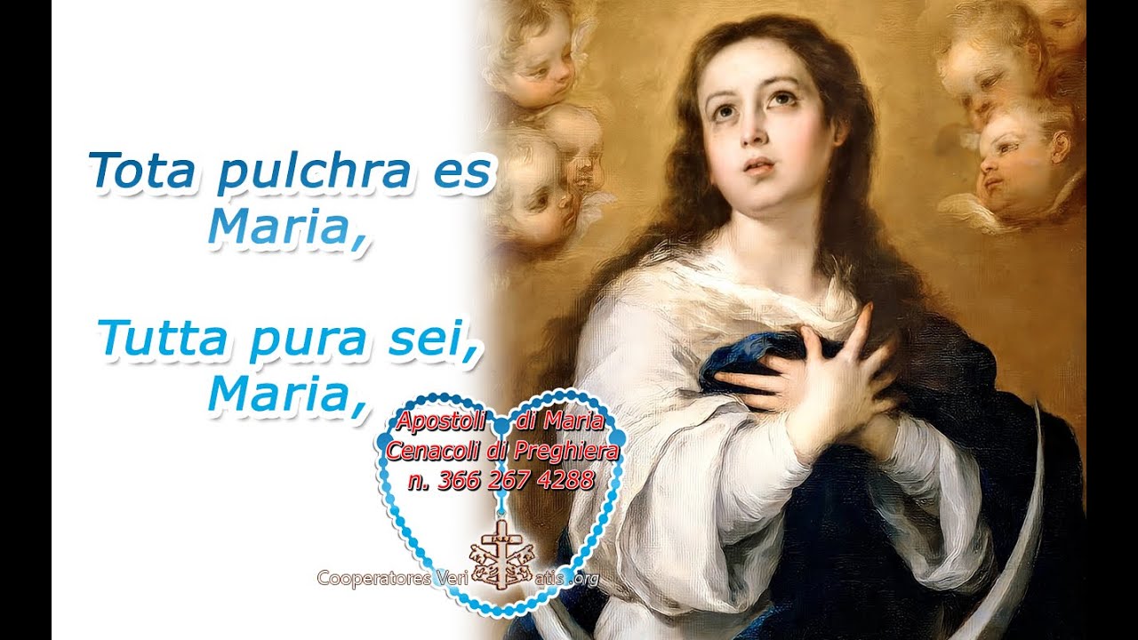 Canti per la Fede: Tota pulchra es Maria