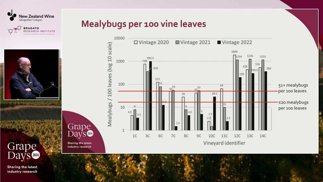 Grape Days 2024 | Improving the outcomes of mealybug insecticide | Dr Vaughn Bell & Andrew Blakeman