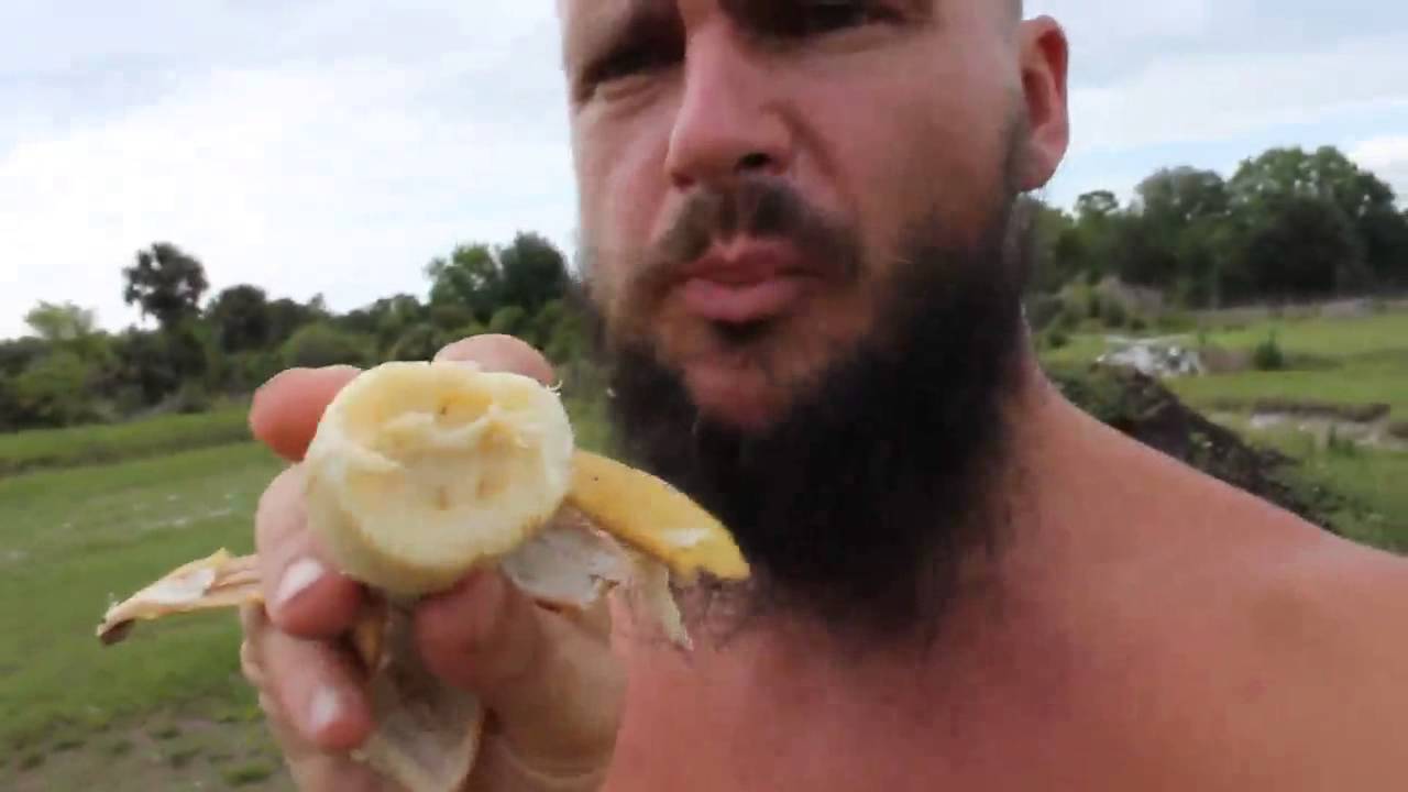 Ice cream banana harvest & taste test