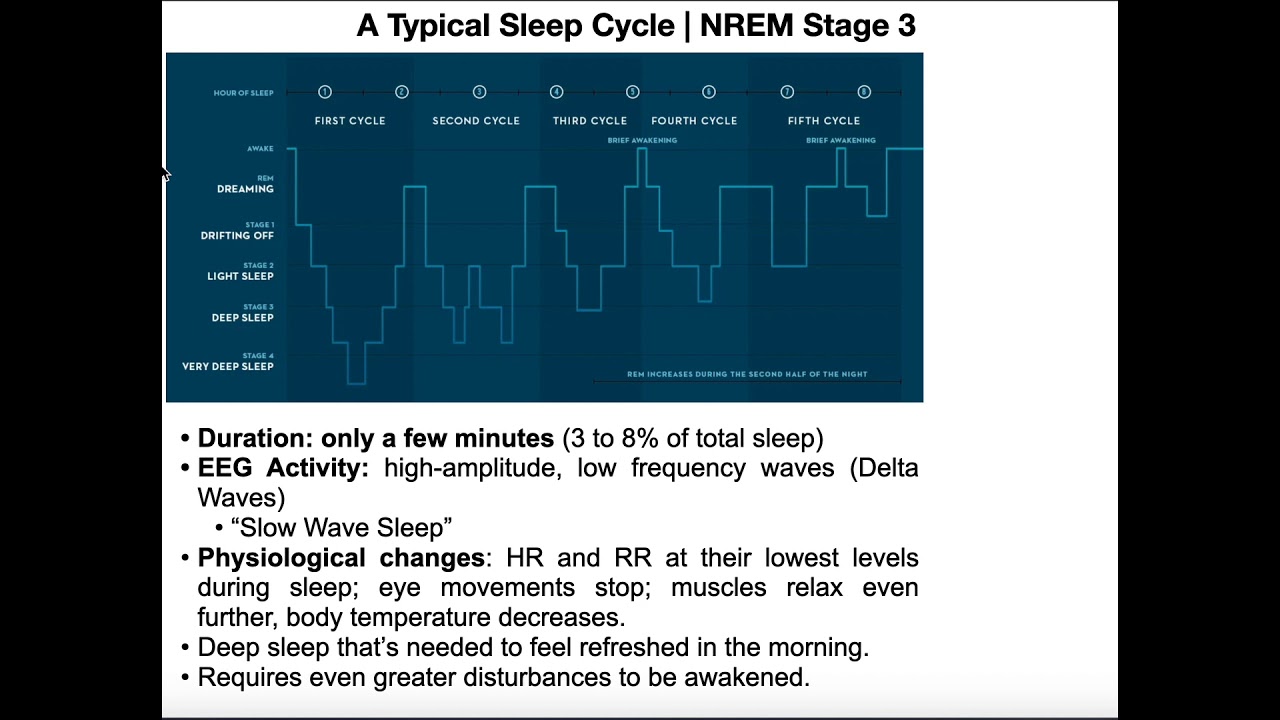NREM Sleep, REM Sleep, & Normal Sleep Cycles