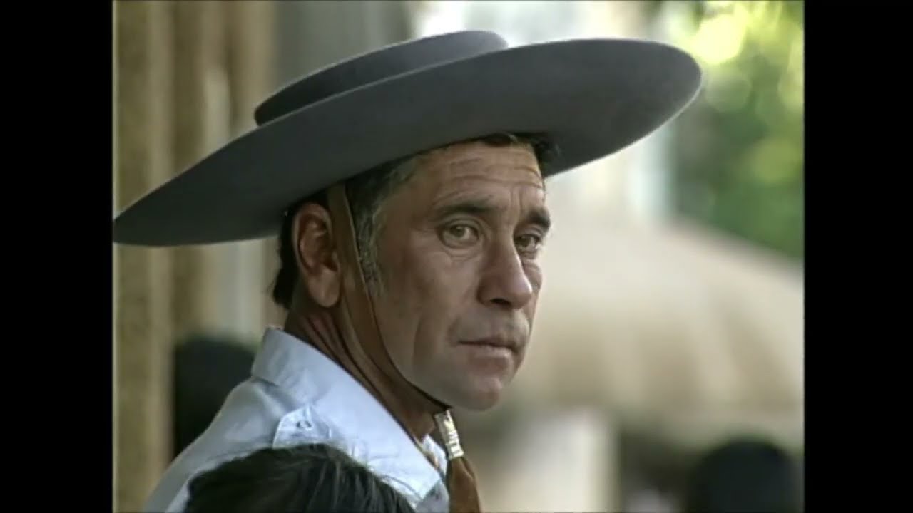 Los Esteros del Iberá