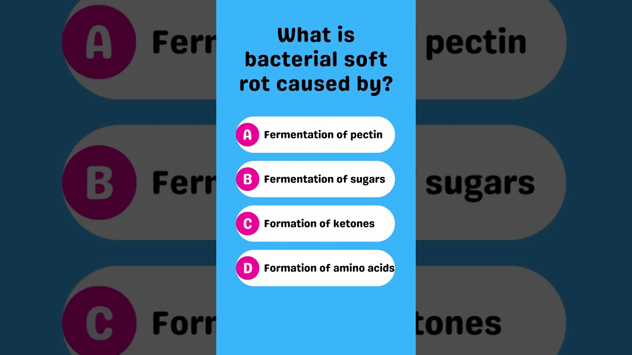 What is bacterial soft rot caused by?