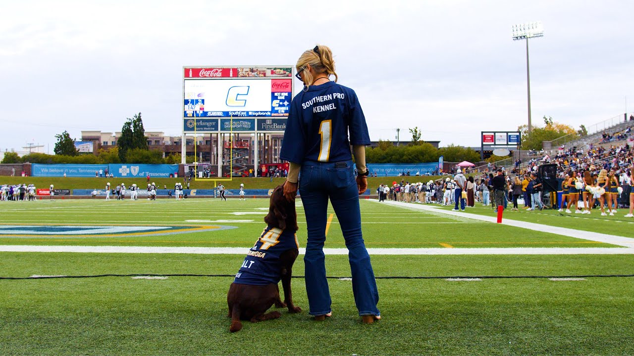 Game Day MVP? Meet Walt from Southern Pro Kennel