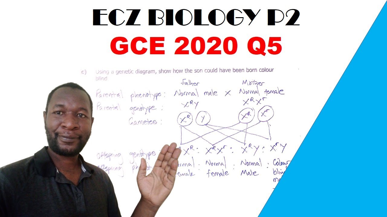 Biology paper 2 || GCE 2020 || Question 5 Answers