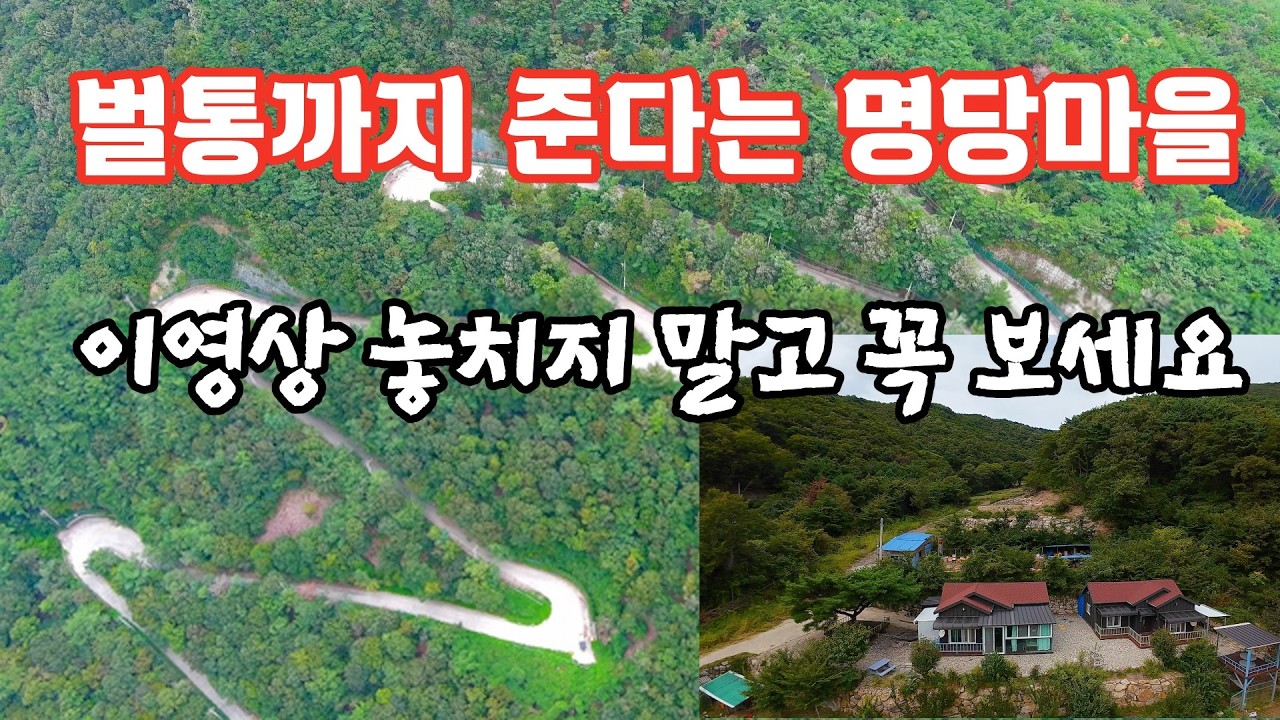 해발600고지 암환자가 6명이나 병이 나았고 용돈까지 쏠쏠하게 들어온다는 천하명당이로세! 절대 놓치지마세요   #오지산골다큐 #오지자동차여행 #오지암자