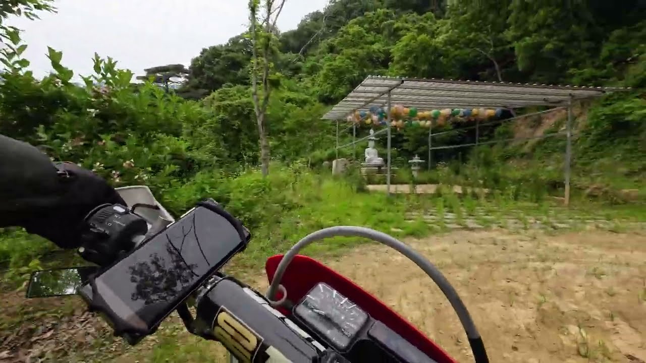 90 내석리 외석리 임도 DJI 20250609091719 0090 D