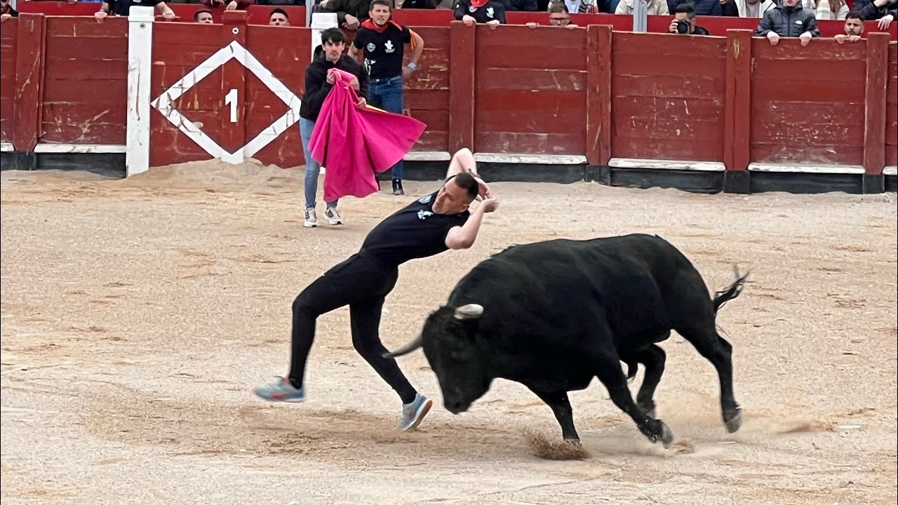 Concurso de recortes en Colmenar de Oreja