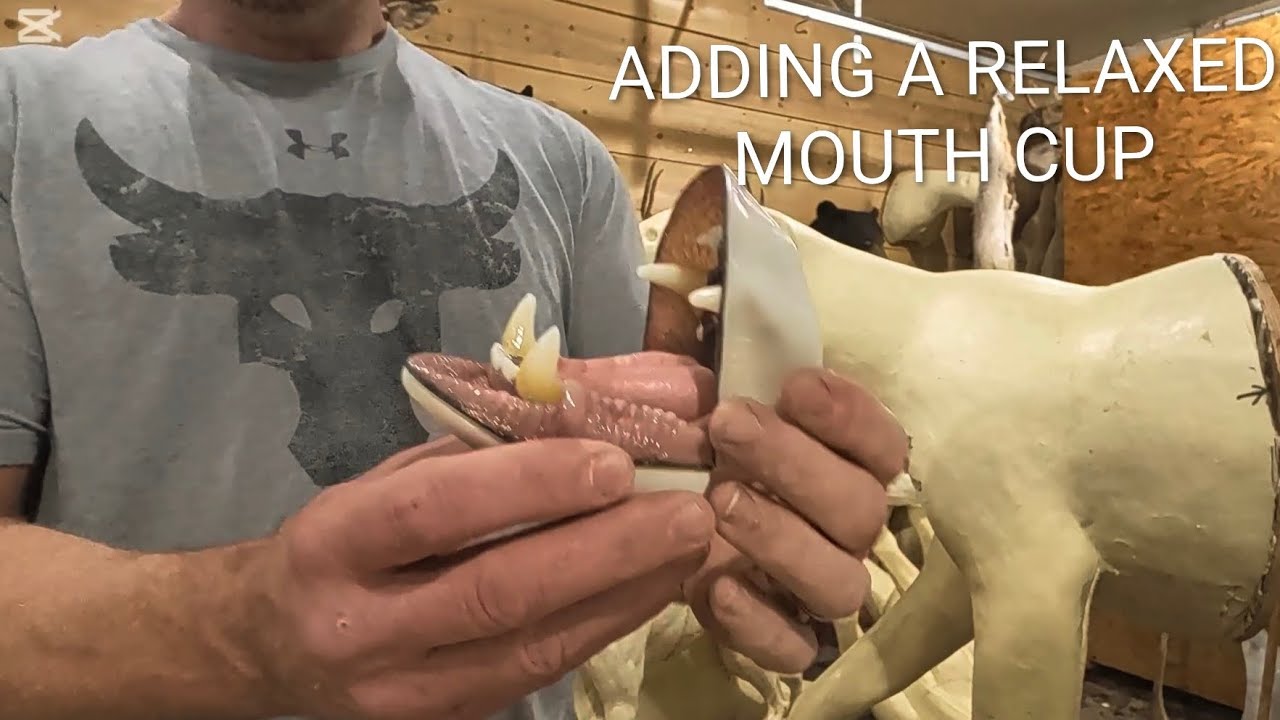 Alter a bear form to add a relaxed mouth cup