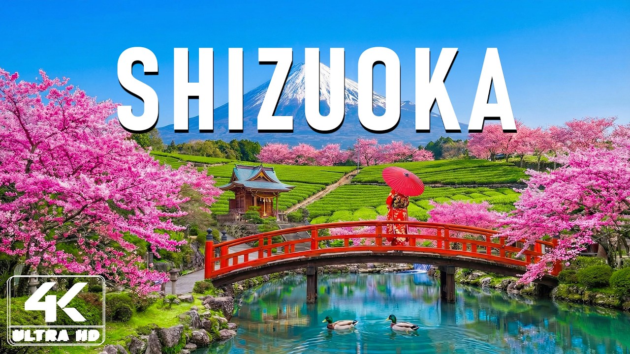 Spring in Shizuoka 4K 🌸 Discover Kawazu Cherry Blossoms, Early Pink Blooms & Relaxing River Paths