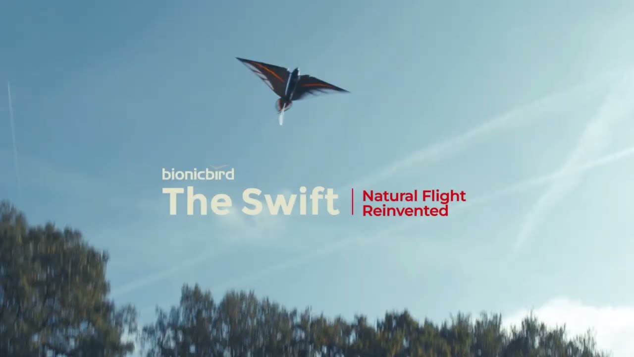 Bionic Bird The Swift flying with seagulls at 15km/h wind [uncut video]