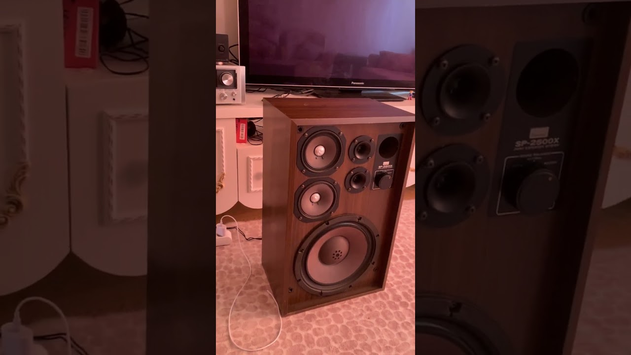 SANSUİ SP 2500x & TANNOY Monitor gold 12