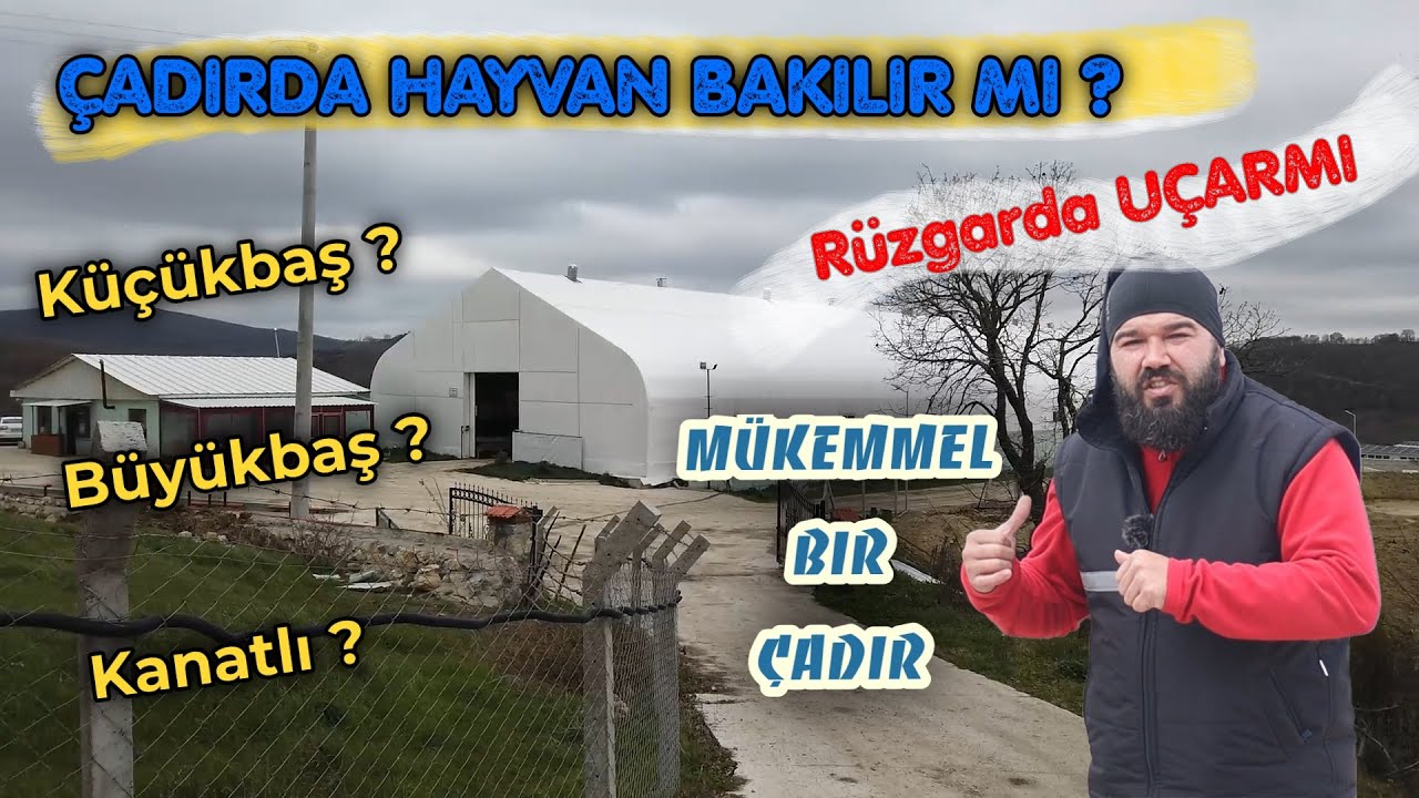 HAYVANLAR İÇİN ÇADIR YAPTIK UÇTU | HAYVAN ÇADIRI NASIL OLMALI