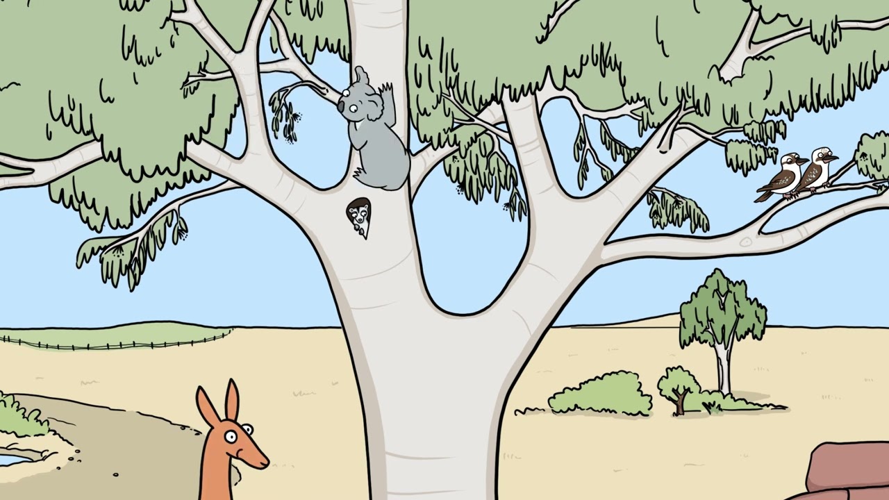 Don Spencer   Dont Call Me a Koala Bear