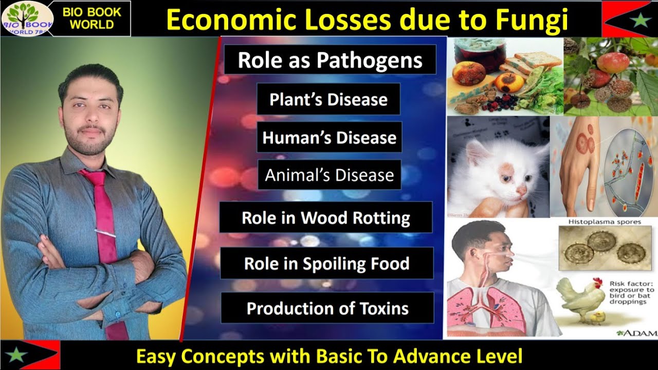 Economic Losses due to Fungi | Harmful Effect of Fungi | B.S | B.Sc | Hindi