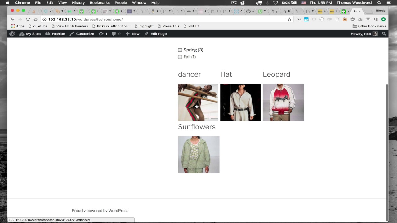 FacetWP Browse by Color