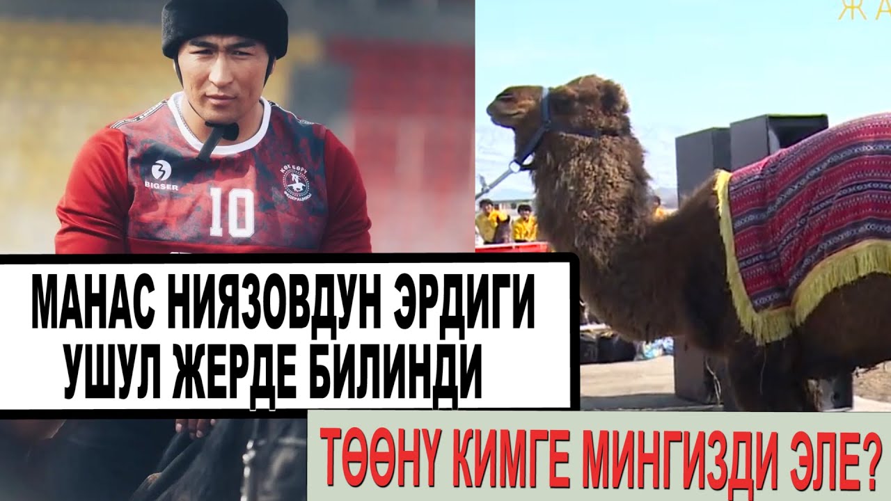 МАНАС НИЯЗОВ АТ МИНГИЗГЕН АДАМГА ТӨӨ МИНГИЗДИ/ ОШ- ТАЛАС ДОСТУГУ/ КОК БОРУДОГУ СОНУН ОКУЯ