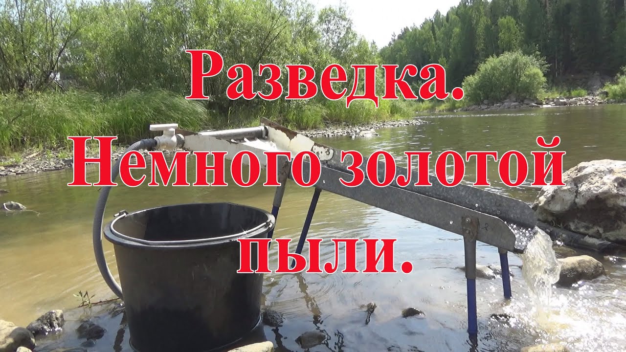 Немного золотой пыли