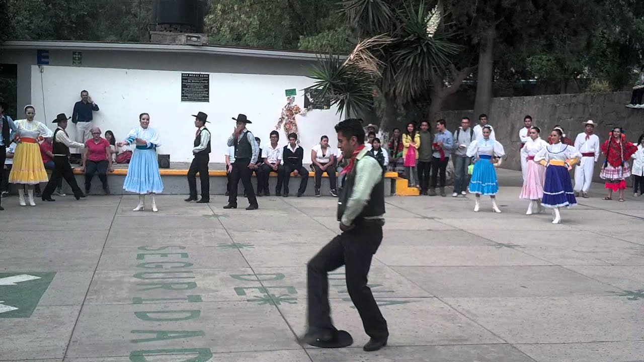 Cbtis29TRADICION MESTIZA