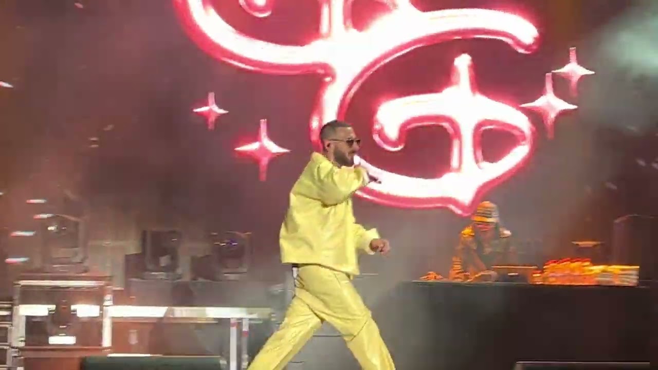 Shindy - Hot Summer | Live-Premiere @Openair Frauenfeld