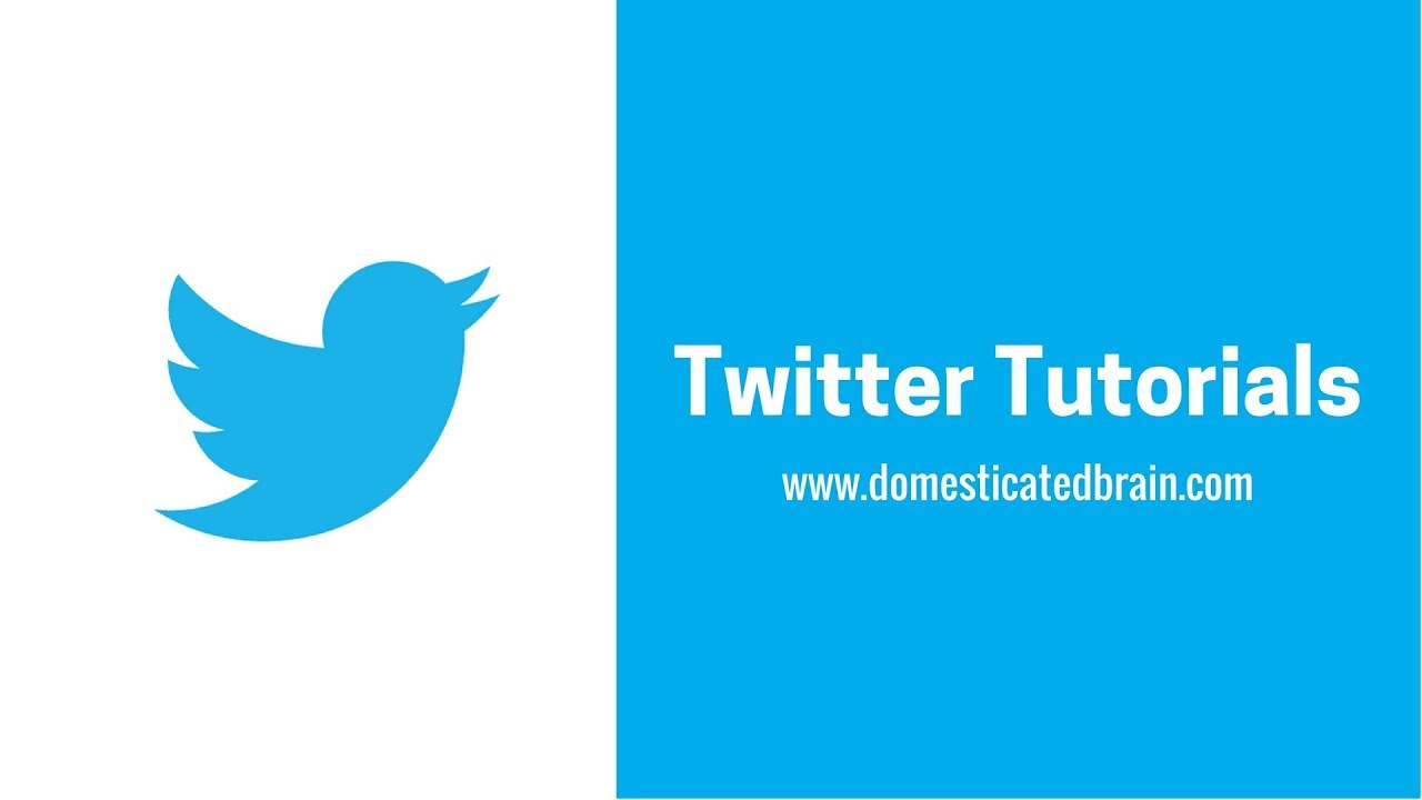 How to Add a Bio on Twitter