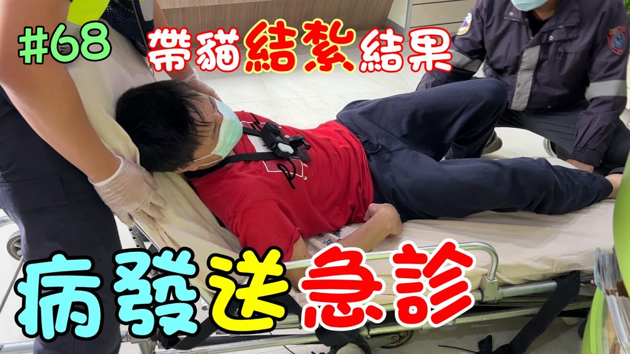 『病發送急診』帶貓咪結紮途中發生了意外...  Cat Story#68