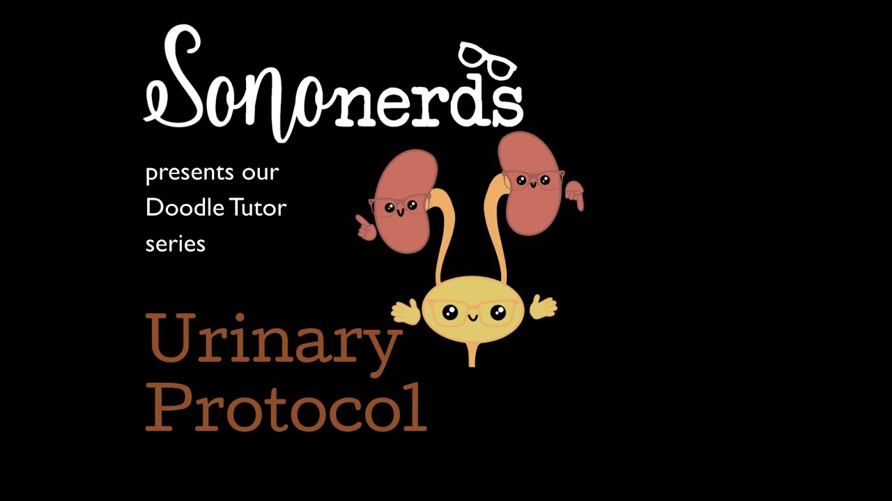 Renal Bladder Protocol SN  DT