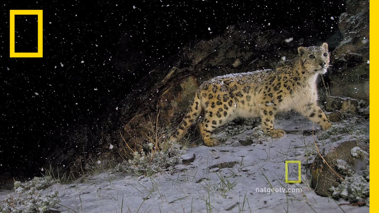 A New Era in Photography | National Geographic