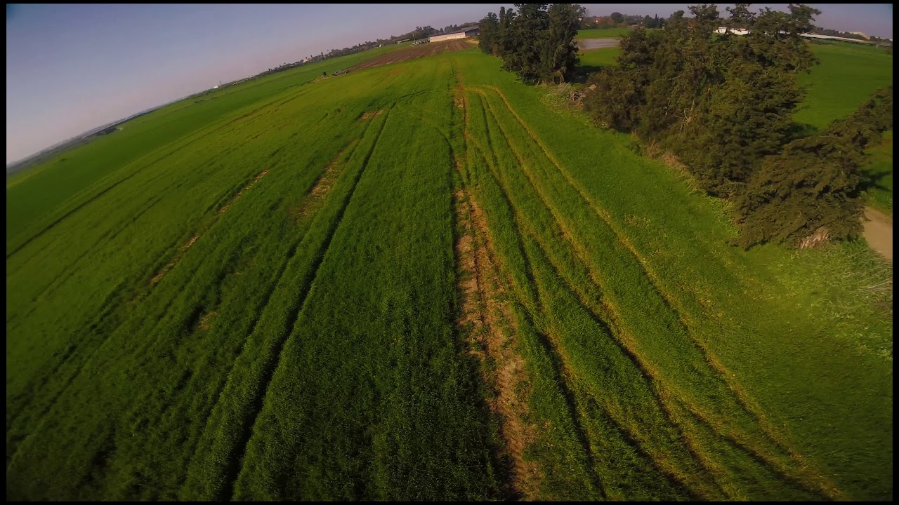 Feel the sun Fpv Freeestyle